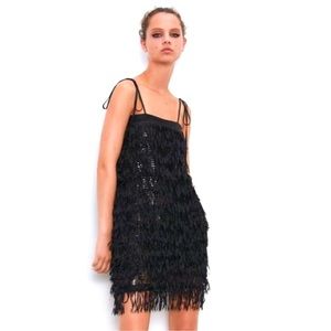Zara Sequinned fringe DRESS.